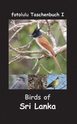 Fotolulu - Birds of Sri Lanka, Häftad. Tillgänglighet: Lägg i varukorg