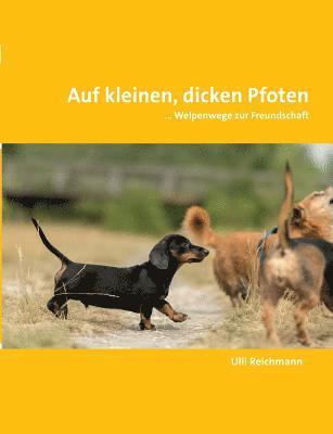 Ulli Reichmann - Auf kleinen, dicken Pfoten, Häftad