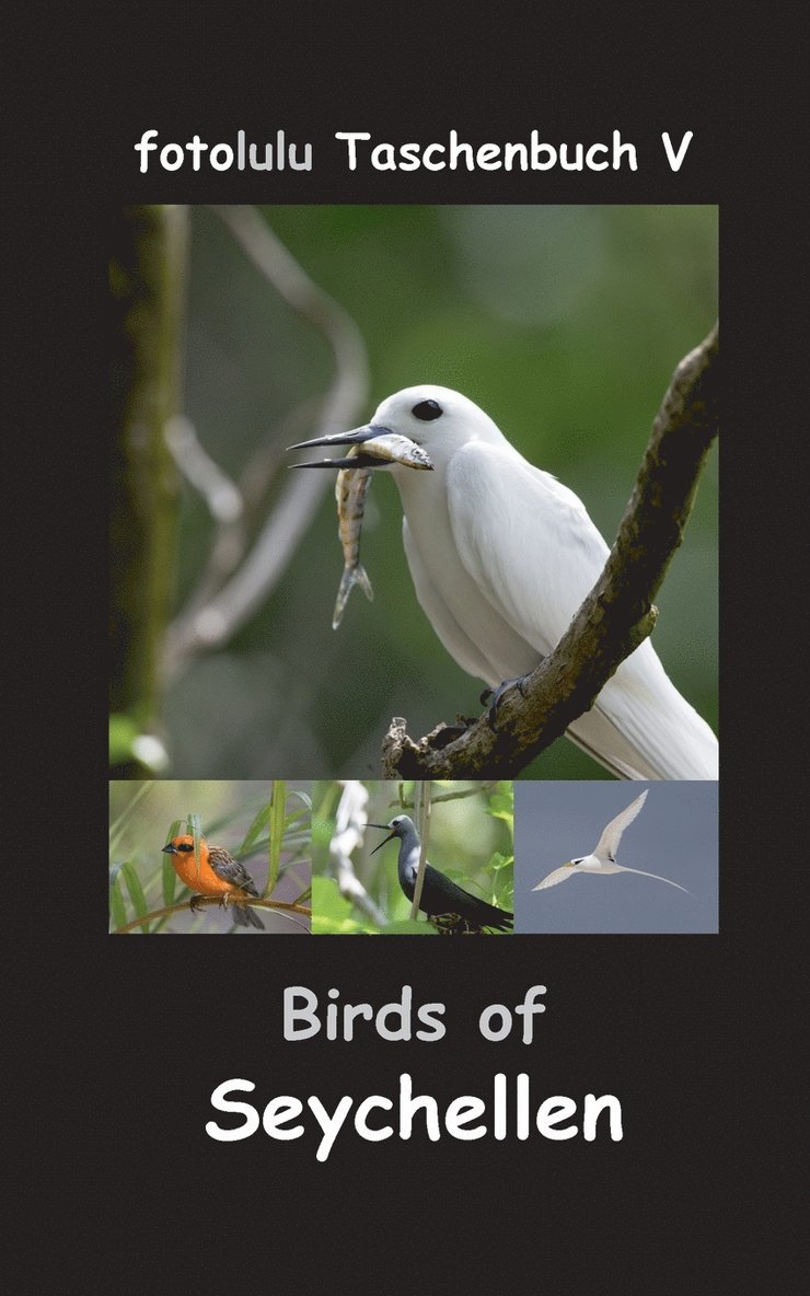 Fotolulu - Birds of Seychellen, Häftad. Tillgänglighet: Lägg i varukorg