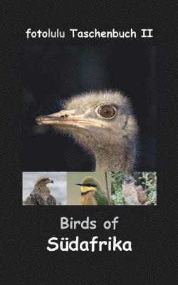 Fotolulu - Birds of Südafrika, Häftad. Tillgänglighet: Lägg i varukorg