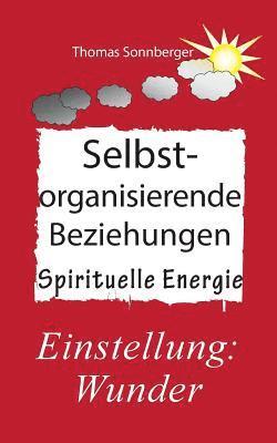 Thomas Sonnberger, Wela E V - Selbstorganisierende Beziehungen, Häftad