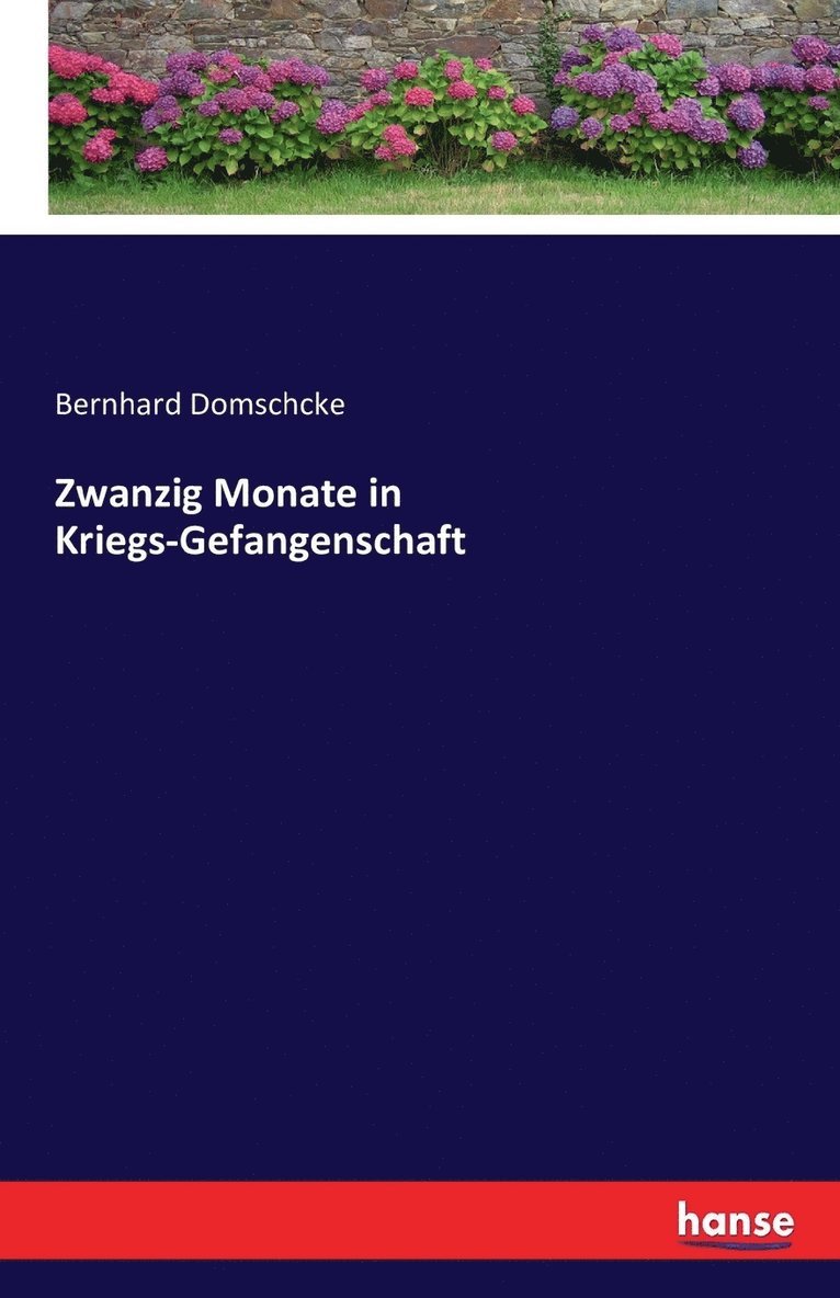 Bernhard Domschcke - Zwanzig Monate in Kriegs-Gefangenschaft, Häftad