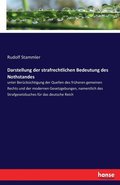 Darstellung der strafrechtlichen Bedeutung des Nothstandes
