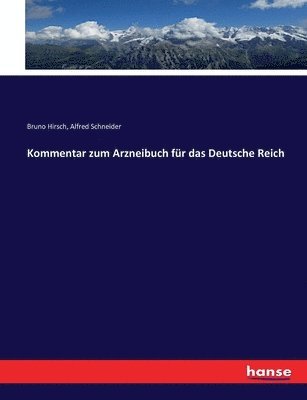 Bruno Hirsch, Alfred Schneider - Kommentar zum Arzneibuch für das Deutsche Reich, Häftad