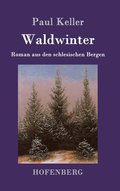 Waldwinter