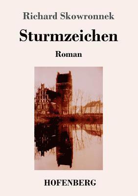 Richard Skowronnek - Sturmzeichen, Häftad