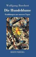 Hundeblume