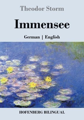 Theodor Storm - Immensee, Häftad