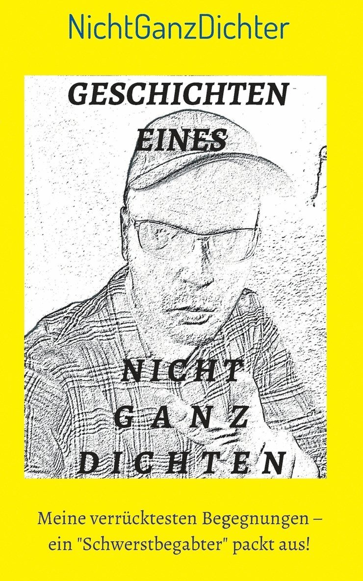 Nichtganzdichter - Geschichten eines nicht ganz Dichten, Häftad