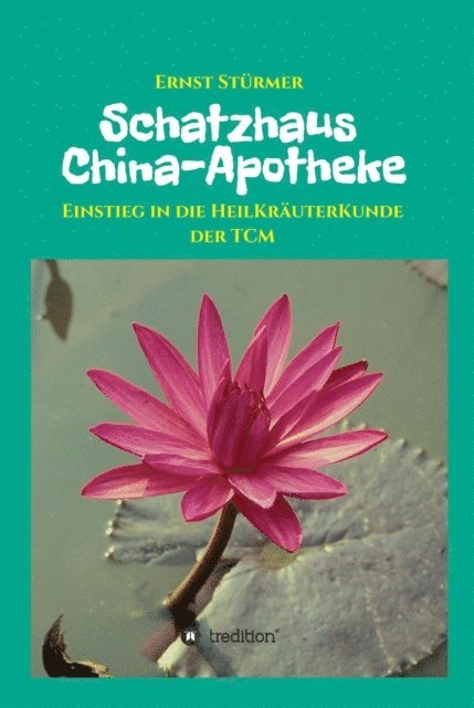 Ernst Sturmer - Schatzhaus China-Apotheke, E-bok