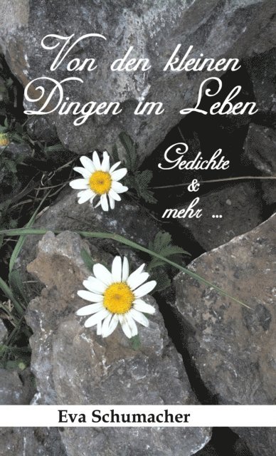 Eva Schumacher - Von den kleinen Dingen im Leben, E-bok