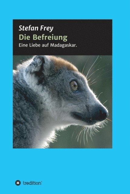 Stefan Frey - Die Befreiung, E-bok