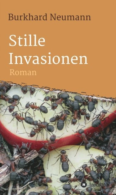 Burkhard Neumann - Stille Invasionen, E-bok