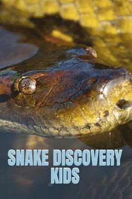 Kate Cruso - Snake Discovery Kids, Häftad. Tillgänglighet: Lägg i varukorg