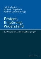 Iuditha Balint, Hannah Dingeldein, Kathrin Lämmle - Protest, Empörung, Widerstand. Zur Analyse von Auflehnungsbewegungen, Inbunden