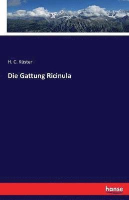 H C Küster - Gattung Ricinula, Häftad