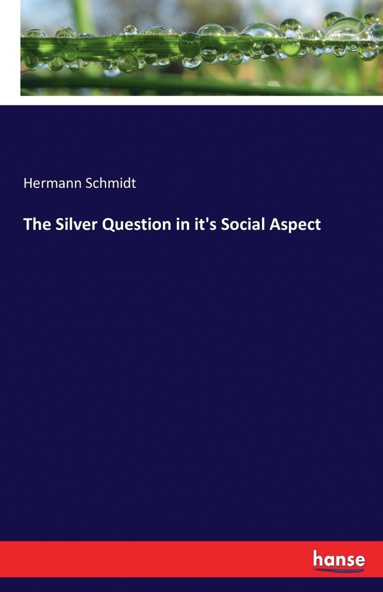 Hermann Schmidt - Silver Question in it's Social Aspect, Häftad