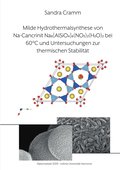 Milde Hydrothermalsynthese von Na-Cancrinit Na8[AlSiO4]6(NO3)2(H2O)4 bei 60 C und Untersuchungen zur thermischen Stabilitt