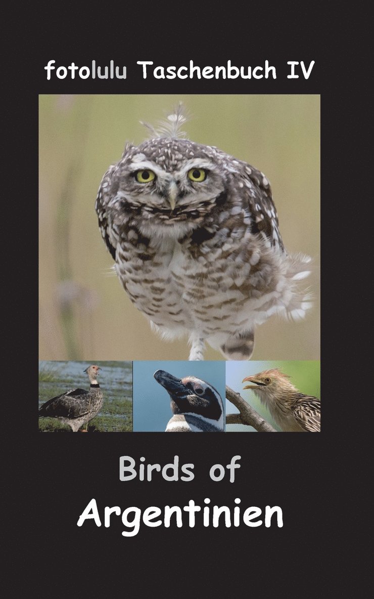 Fotolulu - Birds of Argentinien, Häftad. Tillgänglighet: Lägg i varukorg