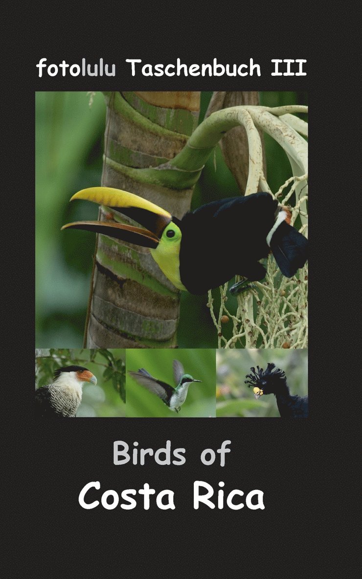 Fotolulu - Birds of Costa Rica, Häftad. Tillgänglighet: Lägg i varukorg