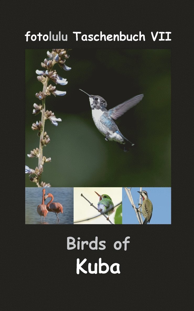Fotolulu - Birds of Kuba, Häftad. Tillgänglighet: Lägg i varukorg