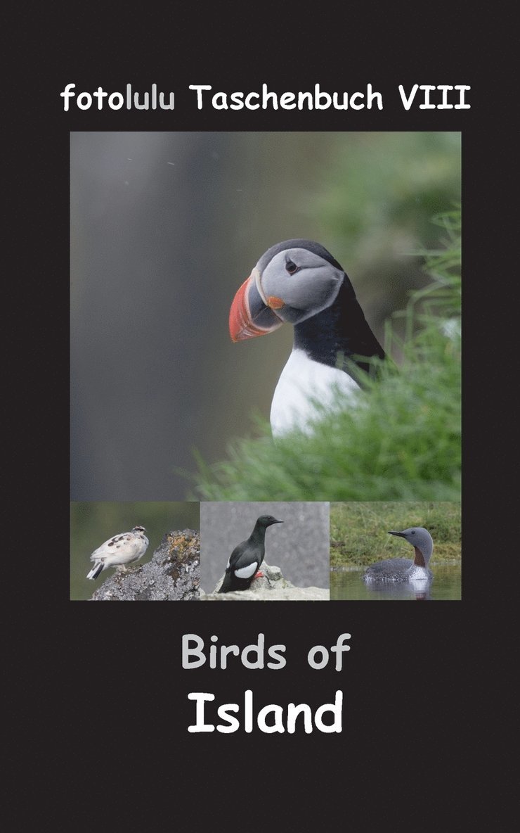 Fotolulu - Birds of Island, Häftad. Tillgänglighet: Lägg i varukorg