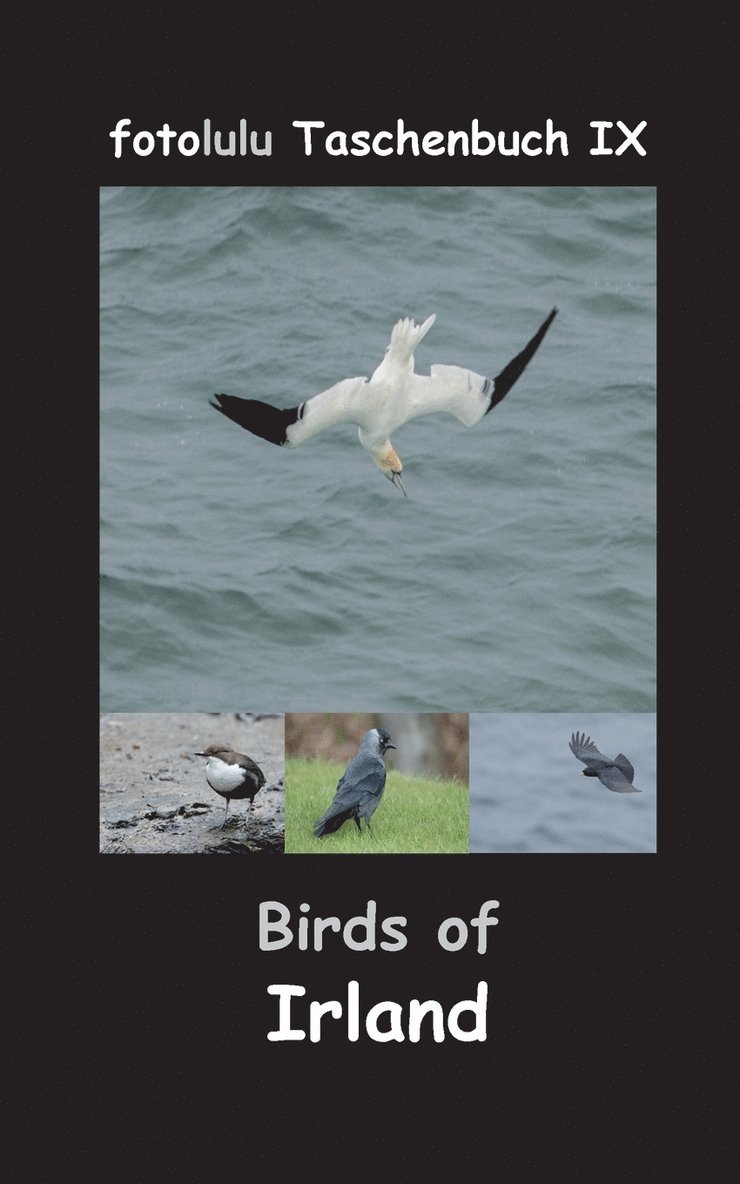 Fotolulu - Birds of Irland, Häftad. Tillgänglighet: Lägg i varukorg