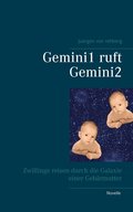 Gemini1 ruft Gemini2
