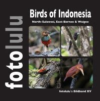 Fotolulu - Birds of Indonesien, Inbunden. Tillgänglighet: Lägg i varukorg