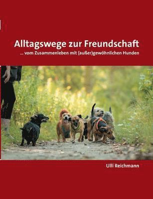 Ulli Reichmann - Alltagswege zur Freundschaft, Häftad