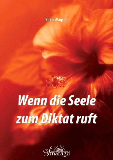 Silke Wagner - Wenn die Seele zum Diktat ruft, E-bok