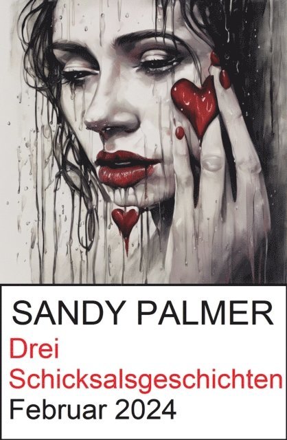 Sandy Palmer - Drei Schicksalsgeschichten Februar 2024, E-bok