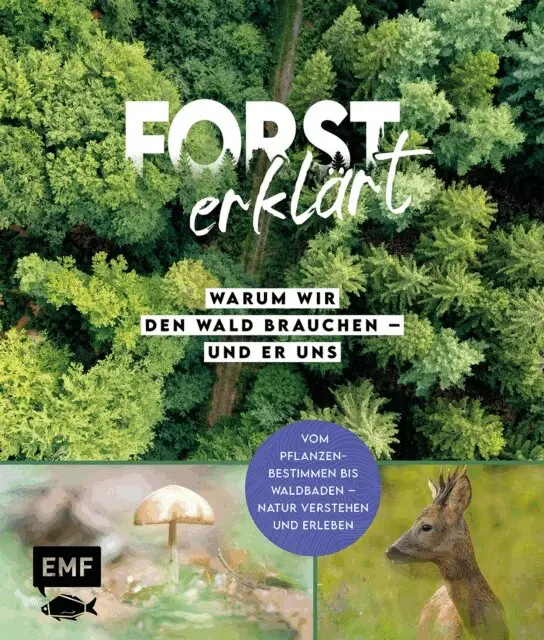 Forst erklärt: Warum wir den Wald brauchen – und er uns
