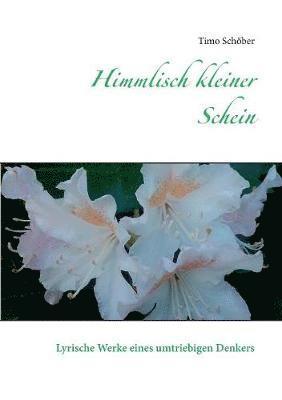 Timo Schöber - Himmlisch kleiner Schein, Häftad