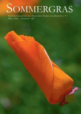 Deutsche Haiku-Gesellschaft E V - Sommergras, Häftad