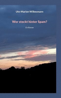 Ute-Marion Wilkesmann - Wer steckt hinter Spam, Häftad