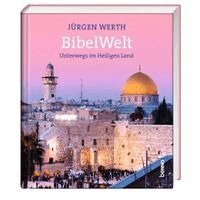 Jürgen Werth - BibelWelt, Inbunden. Tillgänglighet: Lägg i varukorg