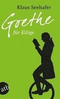 Goethe fr Eilige