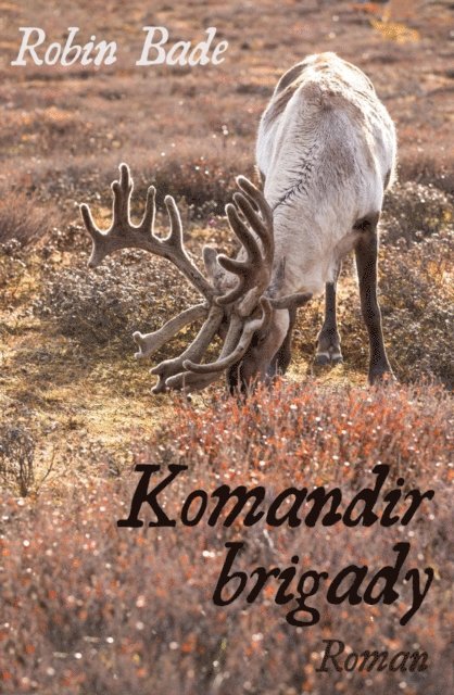 Robin Bade - Komandir brigady, E-bok