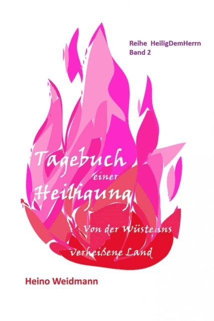 Heino Weidmann, Heino Weidmann - Tagebuch einer Heiligung, E-bok