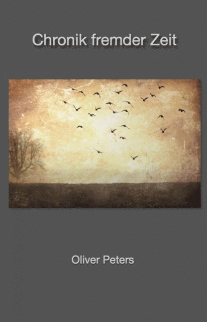 Oliver Peters - Chronik fremder Zeit, E-bok