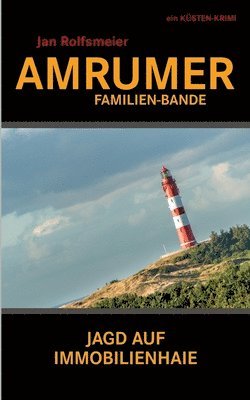 Jan Rolfsmeier - Amrumer Familien-Bande: Ein Küsten-Krimi: Hark Petersens erster Fall, Häftad