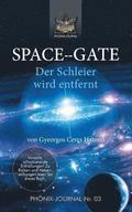 Space--Gate: Der Schleier wird entfernt