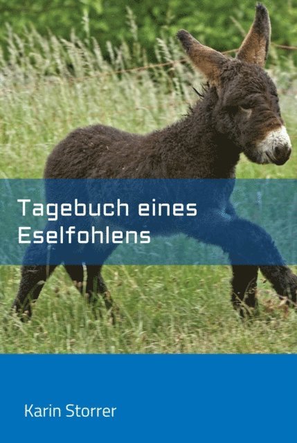 Karin Storrer - Tagebuch eines Eselfohlens, E-bok