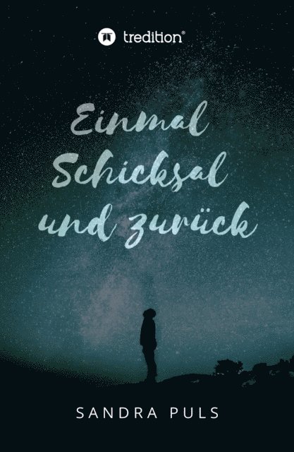 Sandra Puls - Einmal Schicksal und zurück, E-bok