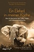 Ein Elefant in meiner Kche