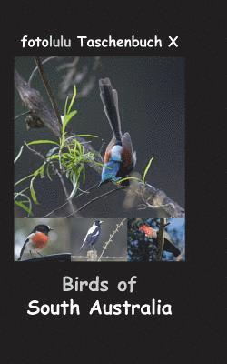 Fotolulu - Birds of South Australia, Häftad. Tillgänglighet: Lägg i varukorg