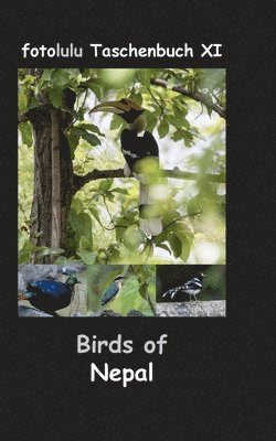 Fotolulu - Birds of Nepal, Häftad. Tillgänglighet: Lägg i varukorg