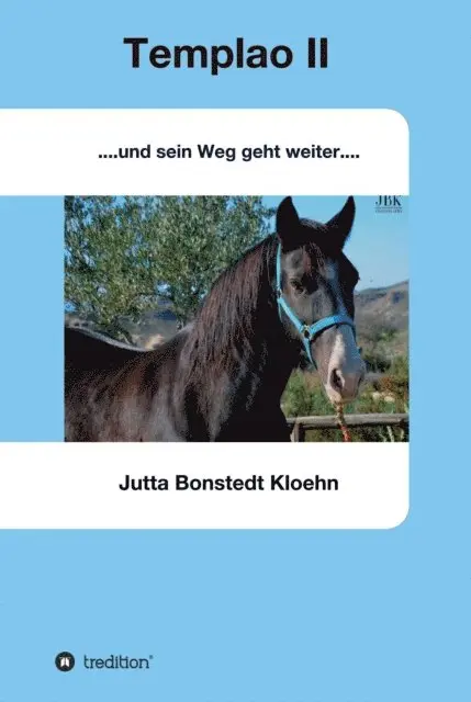 Jutta Bonstedt Kloehn - Templao II, E-bok. Tillgänglighet: Lägg i varukorg