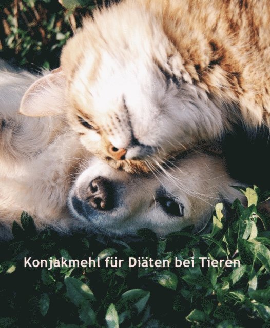 C. C. Bruchert - Konjakmehl für Diäten bei Tieren, E-bok. Tillgänglighet: Lägg i varukorg
